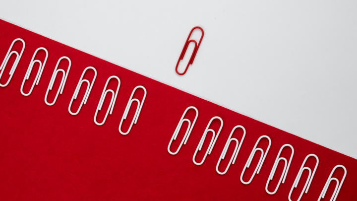 gemeinsame interessen