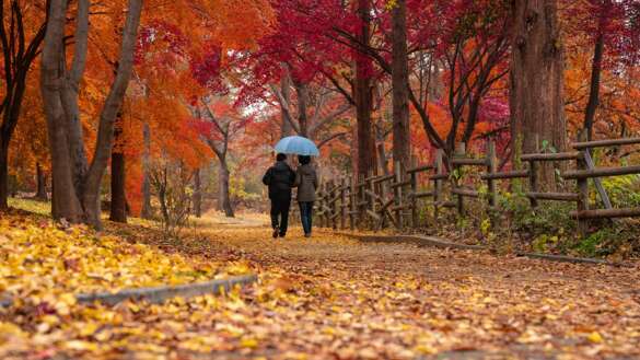 herbst spazieren pixa