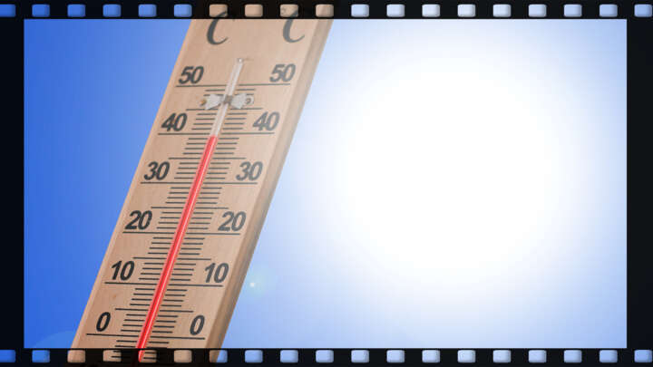 Hitzeschutz auch für Salben und Pillen Bild